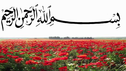 beautiful quran recitation Surah Al-Anbya Muhammad al-Muqit سورة الأنبياء