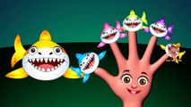 Shark Finger Family Nursery Rhyme | Shark The Sea Animal Finger Family Song | Funny Rhyme with Shark