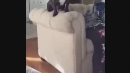 Лучшие приколы 2016 #9  Я плакал