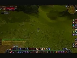 Wow bug 2 " Deco du Serv "