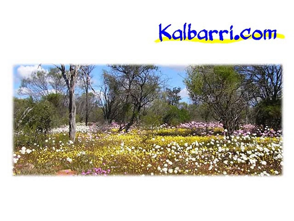 Luxury Kalbarri Hotels, Resorts & Restaurants in WA