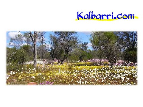 Luxury Kalbarri Hotels, Resorts & Restaurants in WA