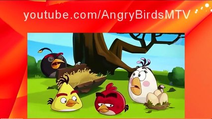 Злые птицы / Злые птички / Angry Birds Toons 1 сезон 42 серия | Икота