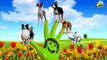 Dog Animal Finger Family rhymes | 3d Animal Collection Nursery Kids Children animated songs