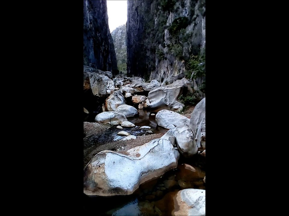 MV_1