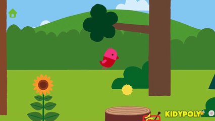 Bird For Fun and Learning Flying with Animals - Forest Flyer