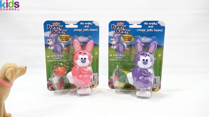 Kidschanel - Funny Bunny, He Walks & Poops Jelly Beans!