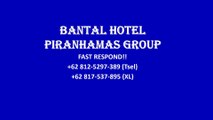 TERMURAH!!!  62 812-5297-389 (Tsel), Produsen Bantal Hotel , Pabrik Bantal Hotel, Distributor Bantal Hotel