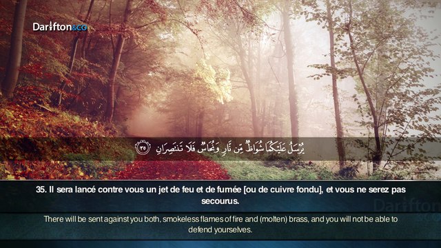 Sourate Ar Rahman - Raad Muhammad Al Kurdi || ﺳﻮﺭﺓ ﺍﻟﺮﺣﻤﻦ - ﺭﻋد ﻣﺤﻤﺪ ﺍﻟﻜﺭﺩﻱ