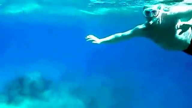 Un nageur se fait percuter par l’hélice d’un bateau