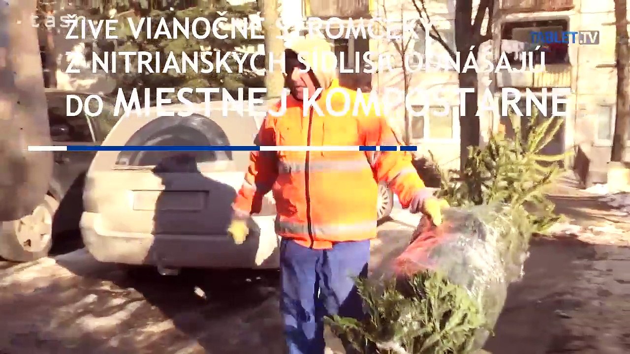 Ľudia sa zbavujú vianočných stomčekov