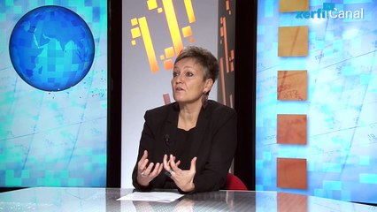 Isabelle Job-Bazille, Les contradictions de la politique de la BCE