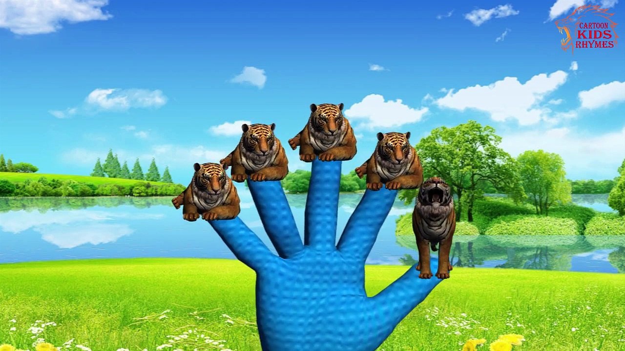 Finger Family Tiger-Animal Finger Family Tiger Cartoon Finger Family