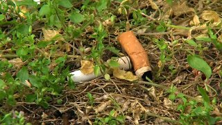 WHO: Smoking deaths to rise a third by 2030