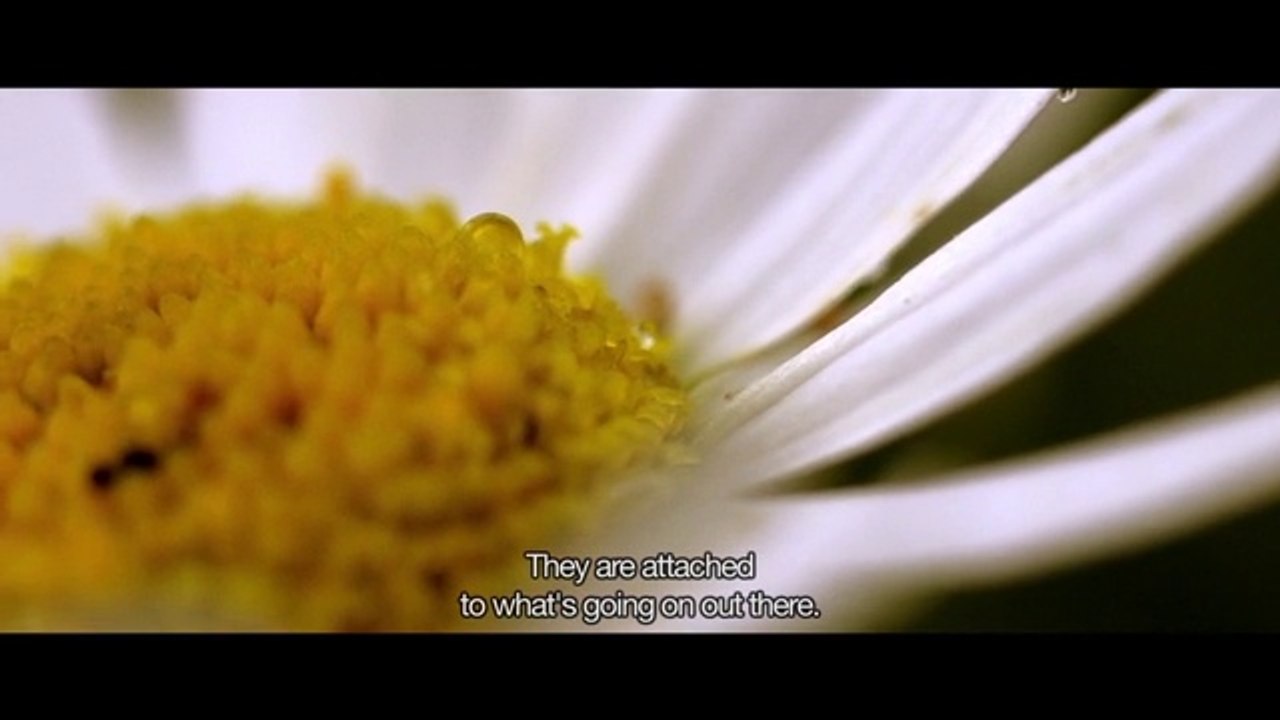 New helathy food trend: Biodynamic farming