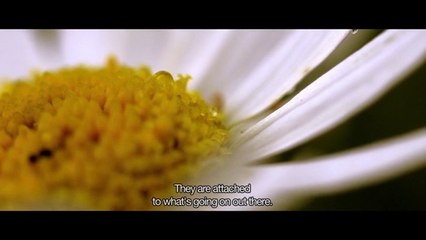 New helathy food trend: Biodynamic farming