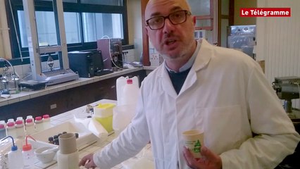 Rennes. Des bactéries productrices de plastique