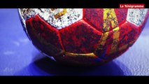 Handball Mondial 2017. Au cœur de la Maison bleue : alors ça commence !