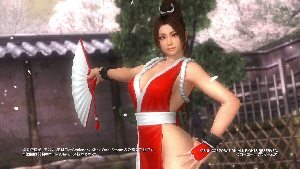 Dead or Alive 5 : Last Round - 8 millions de téléchargements pour Core Fighters