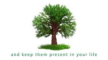 On Behalf of the Memory of Your Close Ones, Who Are Not Alive, Plant Trees