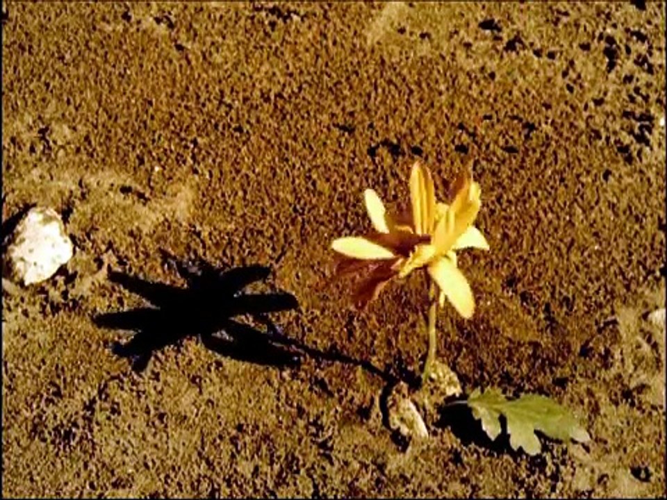 Power Rangers RPM - The Road to Corinth - Dillon's First Scene-MA7ASmWbW0g