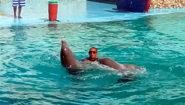 Sortie et baignade Acuario Stage Salsa Dansacuba déc 2016