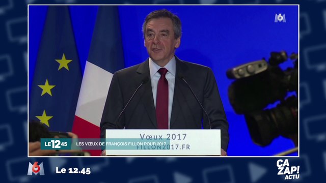 François Fillon : Vous devrez faire avec ma réserve et mes sourcils broussailleux