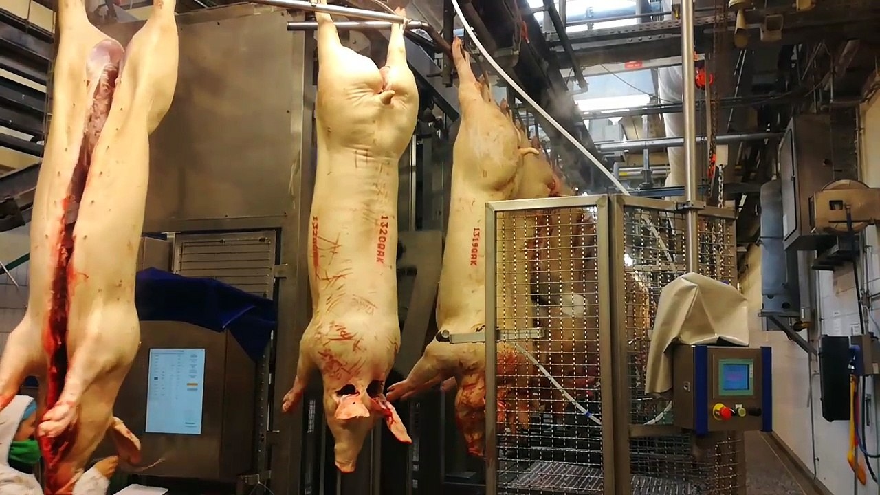 Aubel: le ministre Collin en visite à l'abattoir porcin le plus important de Wallonie