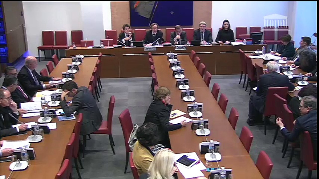 Intervention en commission sur le projet de loi ratifiant l'ordonnance relative à la formation professionnelle adulte