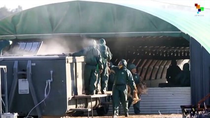 Bird Flu Outbreaks Will Keep Coming