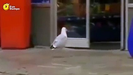 Just for laughs gags 2016  Indian Funny Videos Yummy Whatsapp(1)