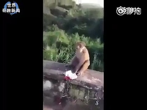 Funny Video Fails 2016 Just For Laughs Gags 2016 NEW Funny Prank Videos 2016