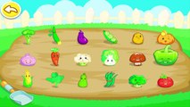 Babybus немного Panda | Овощи Fun образования обучающие игры для детей / детей Android / IOS