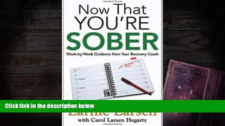 Read Book Now That You re Sober: Week-by-Week Guidance from Your Recovery Coach Earnie Larsen  For