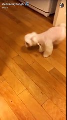 170816 Tiffany拍攝Princess @Tiffany Snpachat