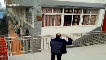 Monkey invades urban homes in southwest China