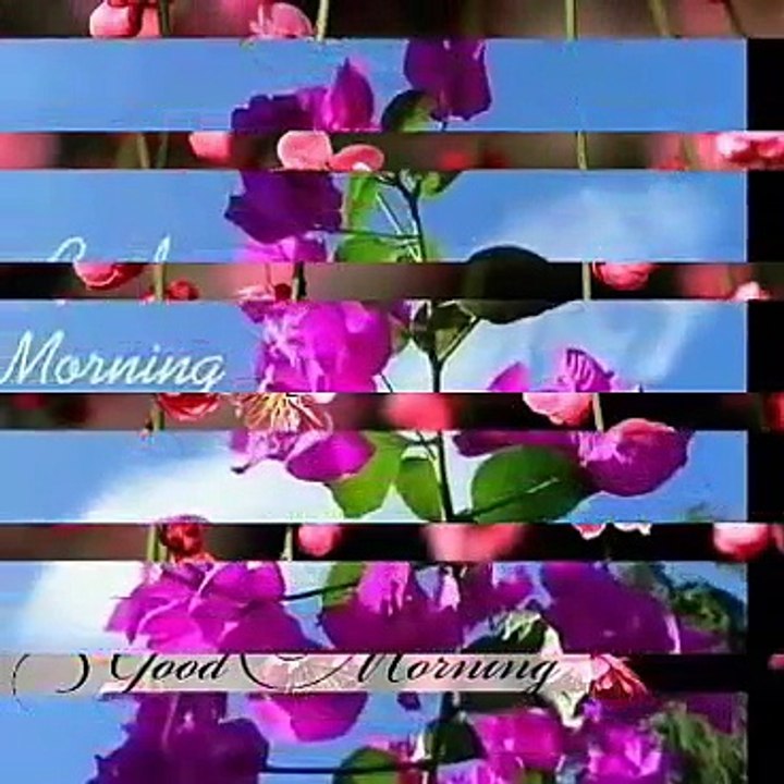Moring