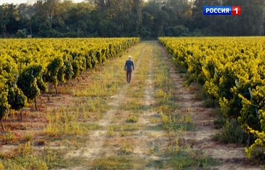 Саша добрый, Саша злой 5 серия.