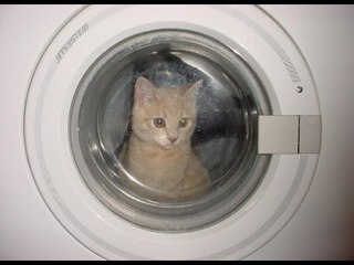 Open the pod bay door