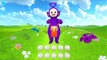 Teletubbies Tinky Winkys Magic Bag - Tinky Winky learn shapes, numbers - Teletubbies Episodes