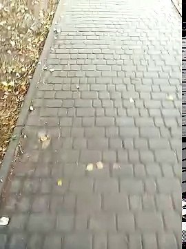 25 сентября 2016 г.