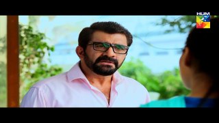 Hatheli Episode 28 Full HD HUM TV Drama 11 Januray 2017