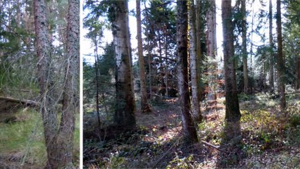 Paysages du Pays de Sault