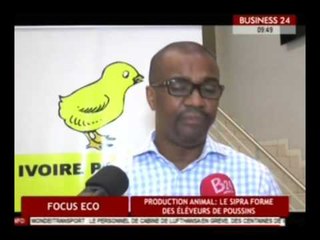 Business 24 / Focus Eco -  Production animale : Le SIPRA forme des éleveurs de poussins