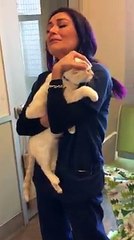 Elle retrouve enfin son chat disparu depuis ......deux ans ! Vidéo