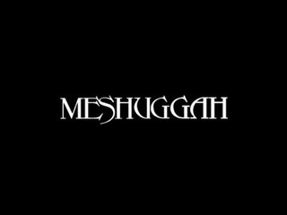 Meshuggah says that "every record is a fun experiment" | Aggressive Tendencies