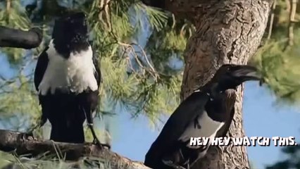 ТЕСТ НА ПСИХИКУ CHALLENGE НЕ ДЕТСКИЕ ПРИКОЛЫ 2016 ЛУЧШИЕ №274