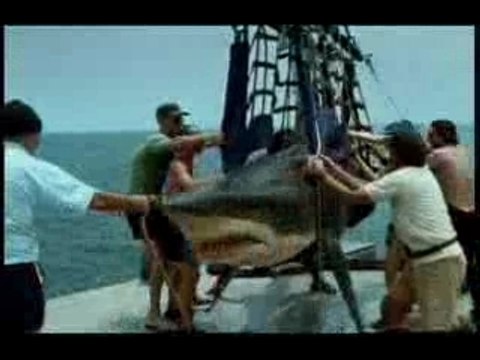 Pub John west requin