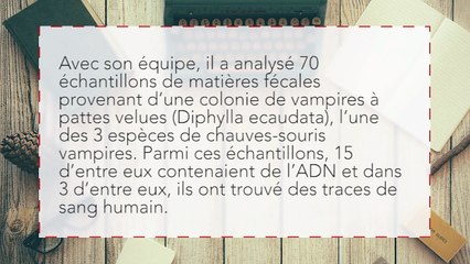Des chauves-souris s’en prennent désormais à l’Homme… et ce n’est pas anodin