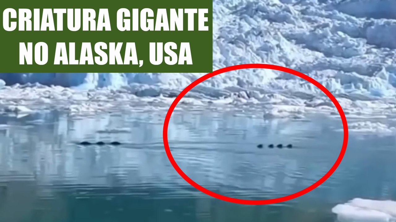 Criatura gigante filmada no Alaska